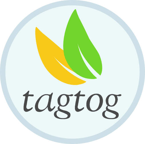 Go to web app at tagtog.com