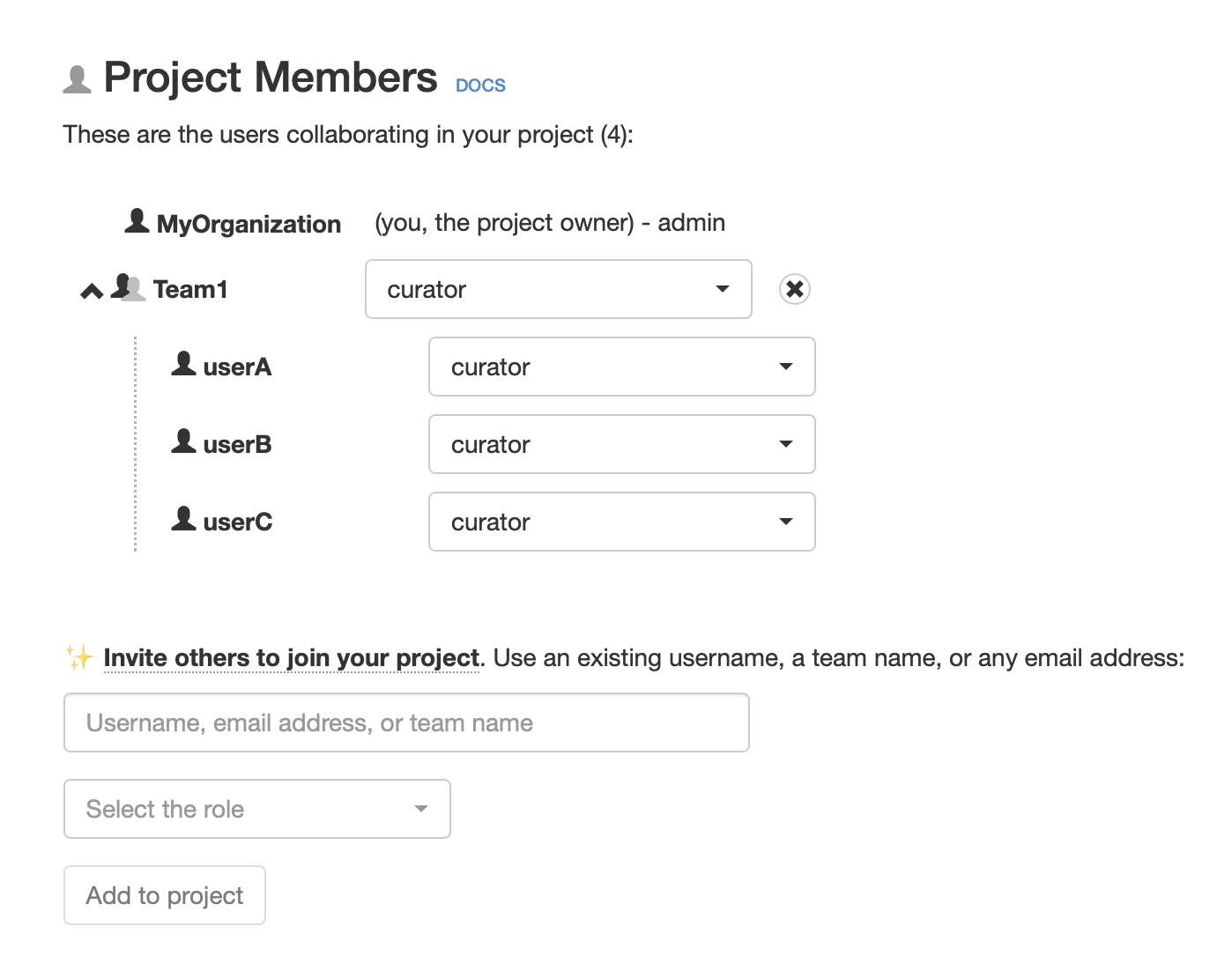 Screenshot: show team in project